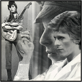 Diamond Dogs
