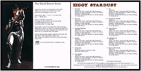 Ziggy Stardust