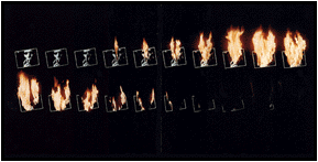 Ziggy Stardust The Motion Picture