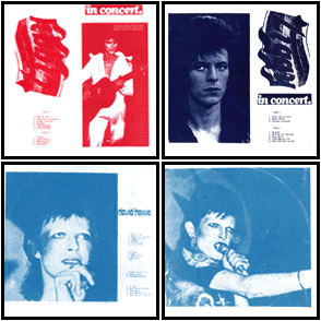 Ziggy In Concert